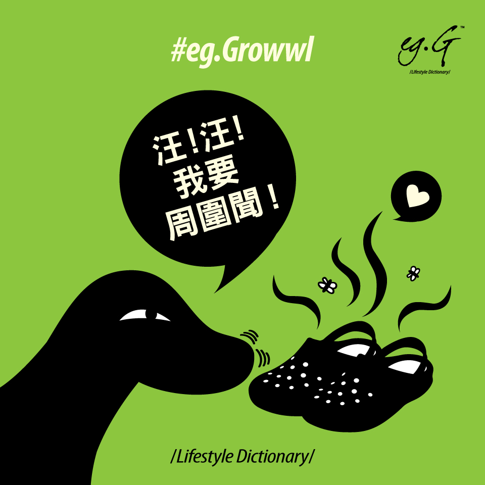 讓狗狗用鼻子四處探險！